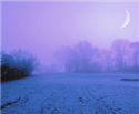 Image Purple Fog